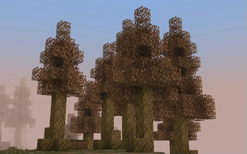 Hazel Oak