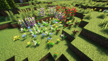 Hidden Trails-Visual Pack - Magenta