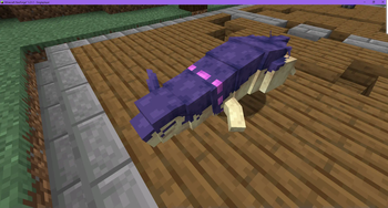 Hisuian Typhlosion Eyelid Fix