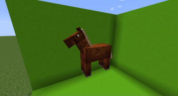 Horse Backport
