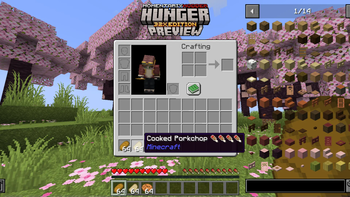 Hunger Preview [Addon for Faithful 32x/64x]  [Discontinued]