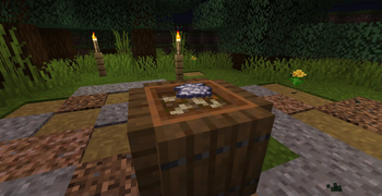 Invisible Item Frames!