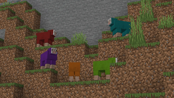 Legacy Sheep