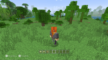 Legacy Skin Packs