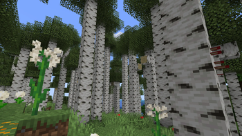 Livelycraft