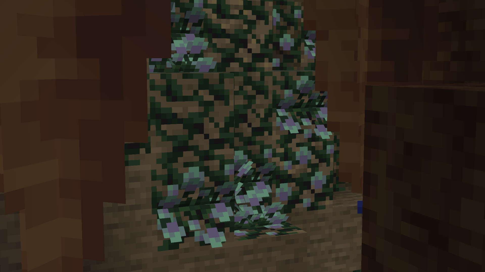 Luxurious Lichen