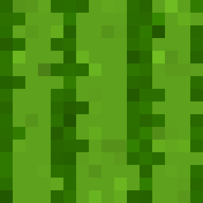 Lz Ripe Melon