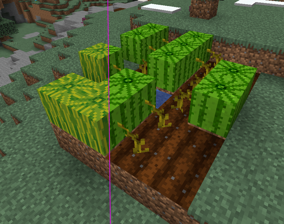 Lz Ripe Melon
