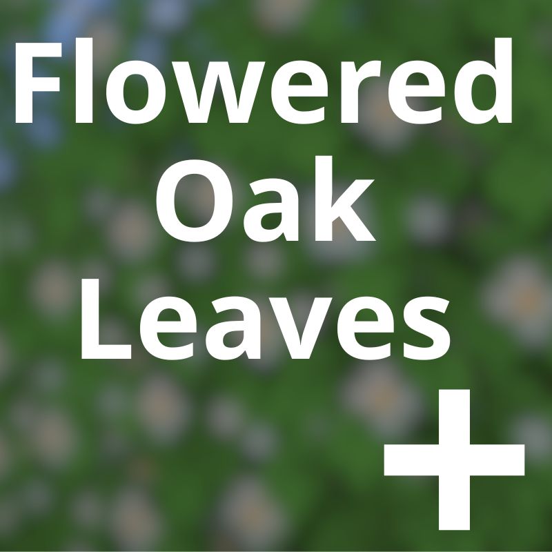 Flowered Oak Leaves +