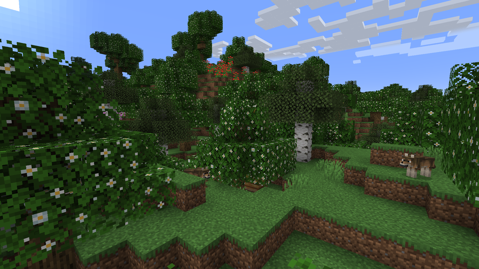 Flowered Oak Leaves +