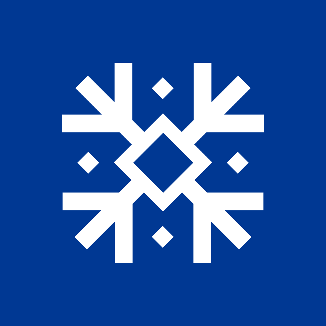 Medžuslovjansky projekt