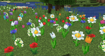 Mickey Joe's Flowers!