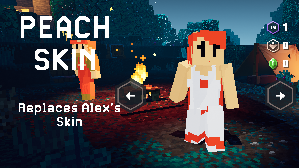 Minecraft: Super Mario Bros. Edition DELXUE