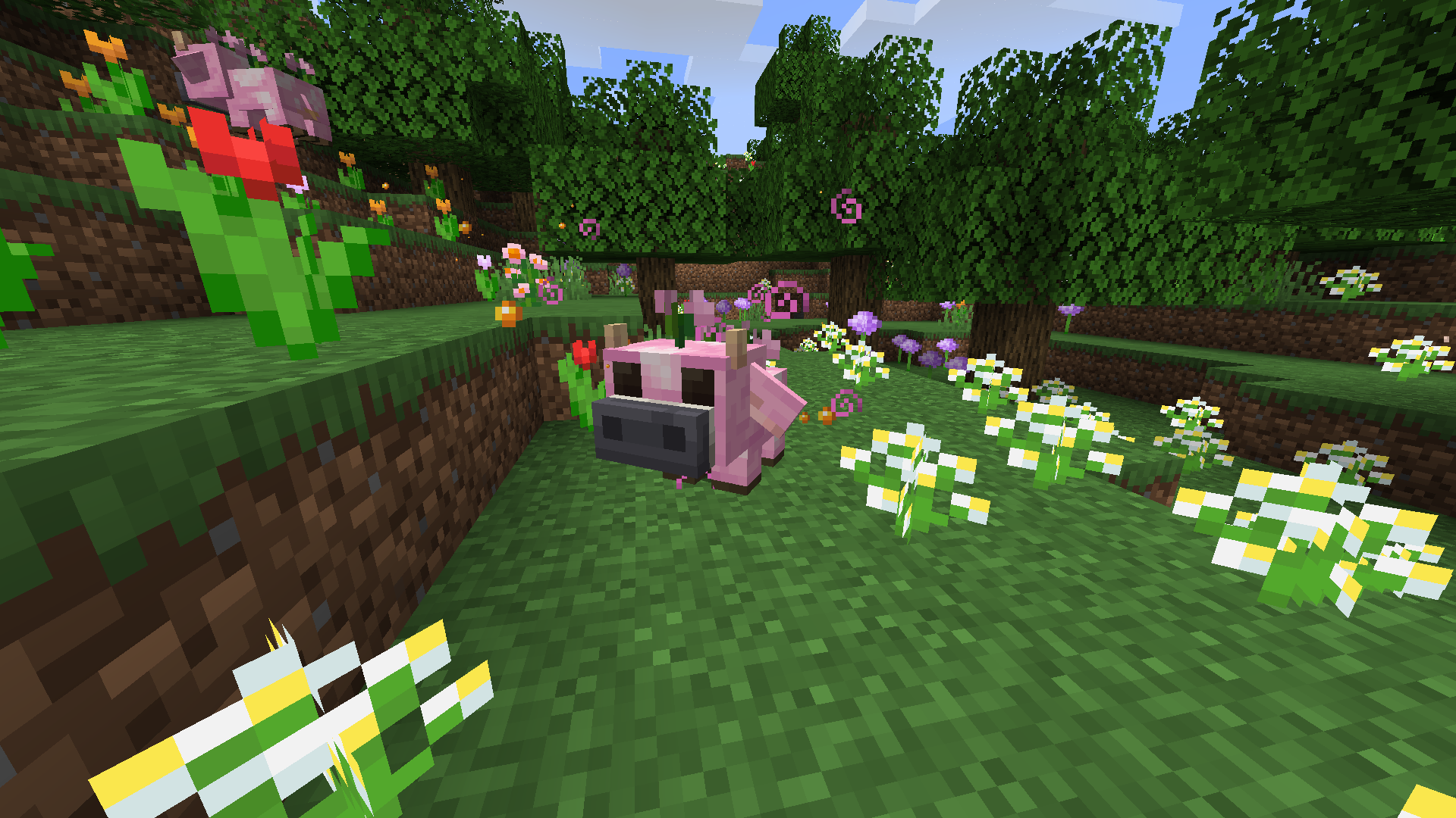 Minilip (Mini Moolips)