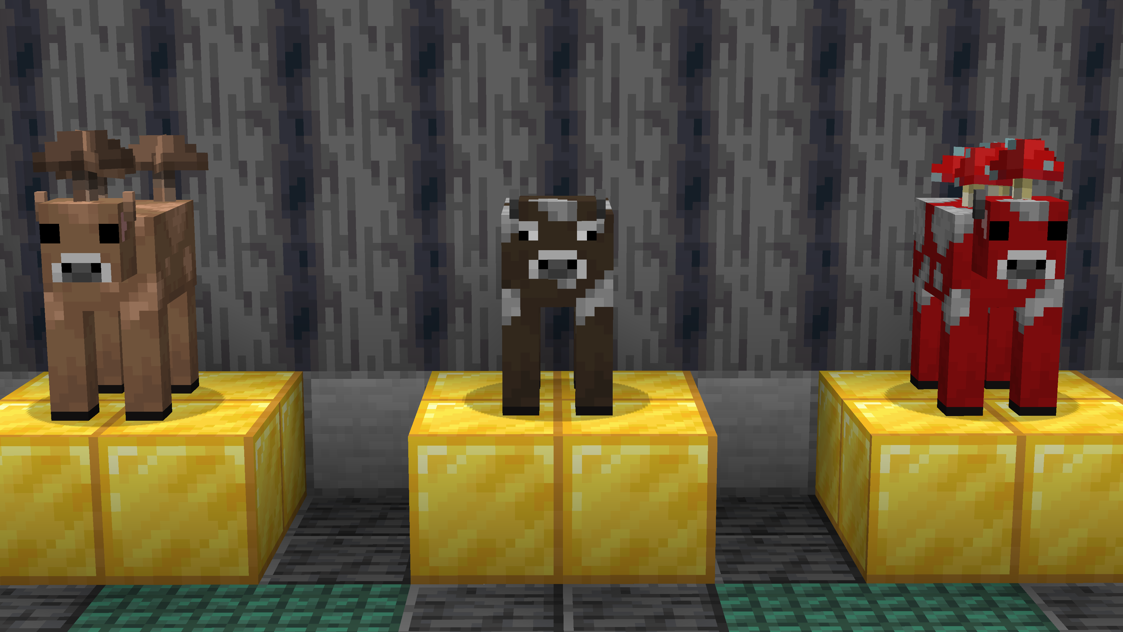 Moobloom Styled Cows