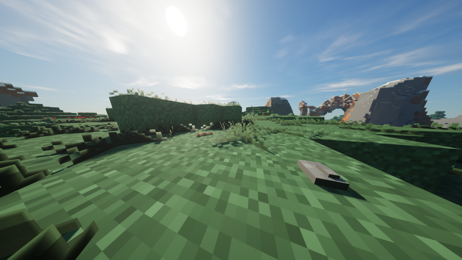 Motschen's Better Grass