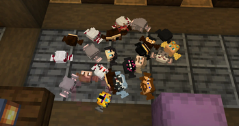 MineShiled | Halloween Candys