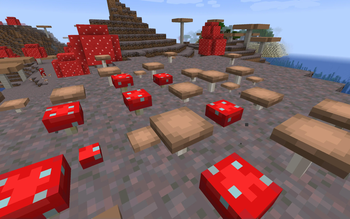 Mushrooms Plus