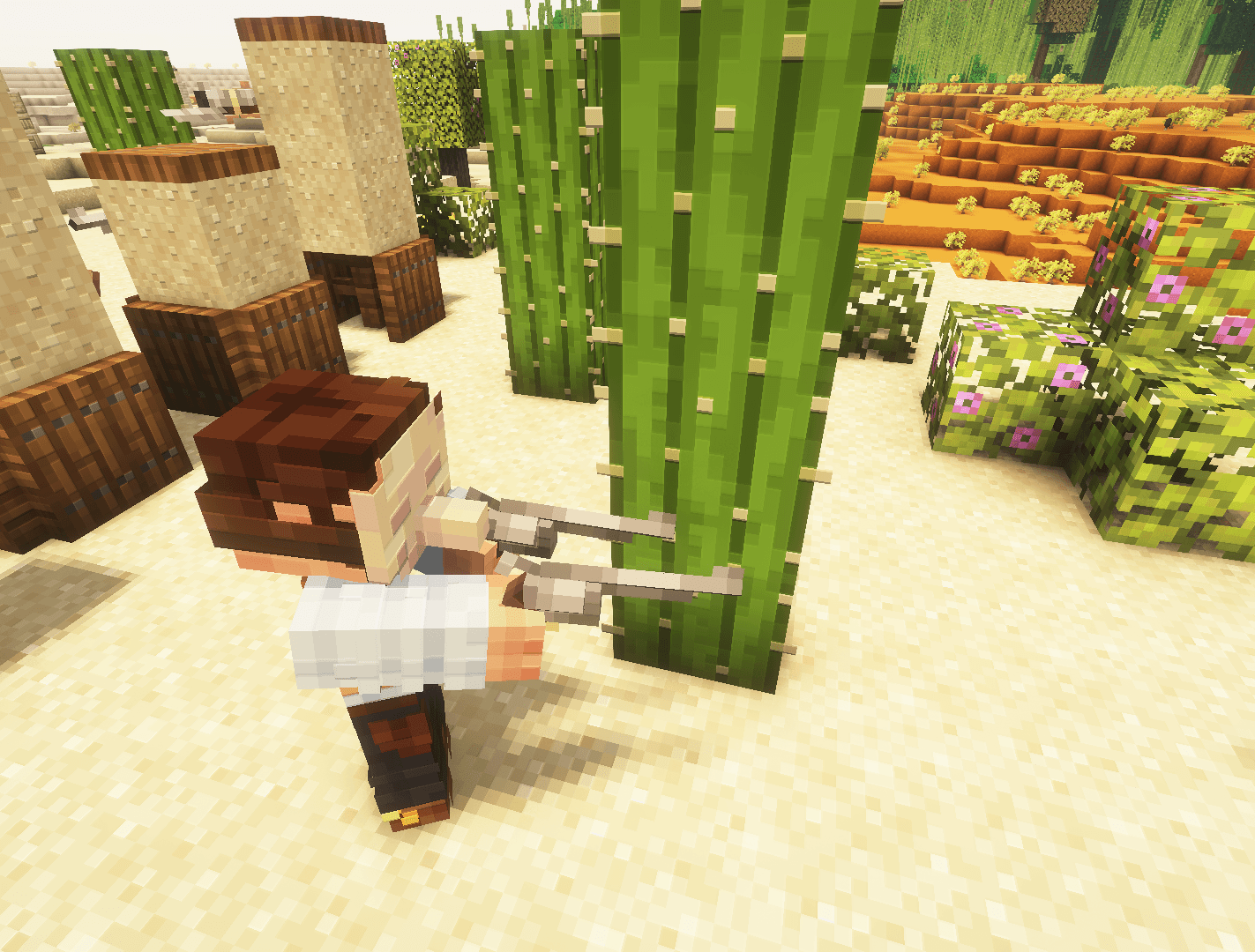 Muskets 3D Wild West for Ewewkek's