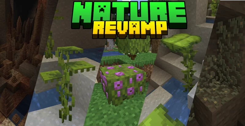 Nature Revamp