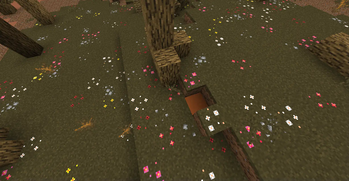 Nature's Carpet