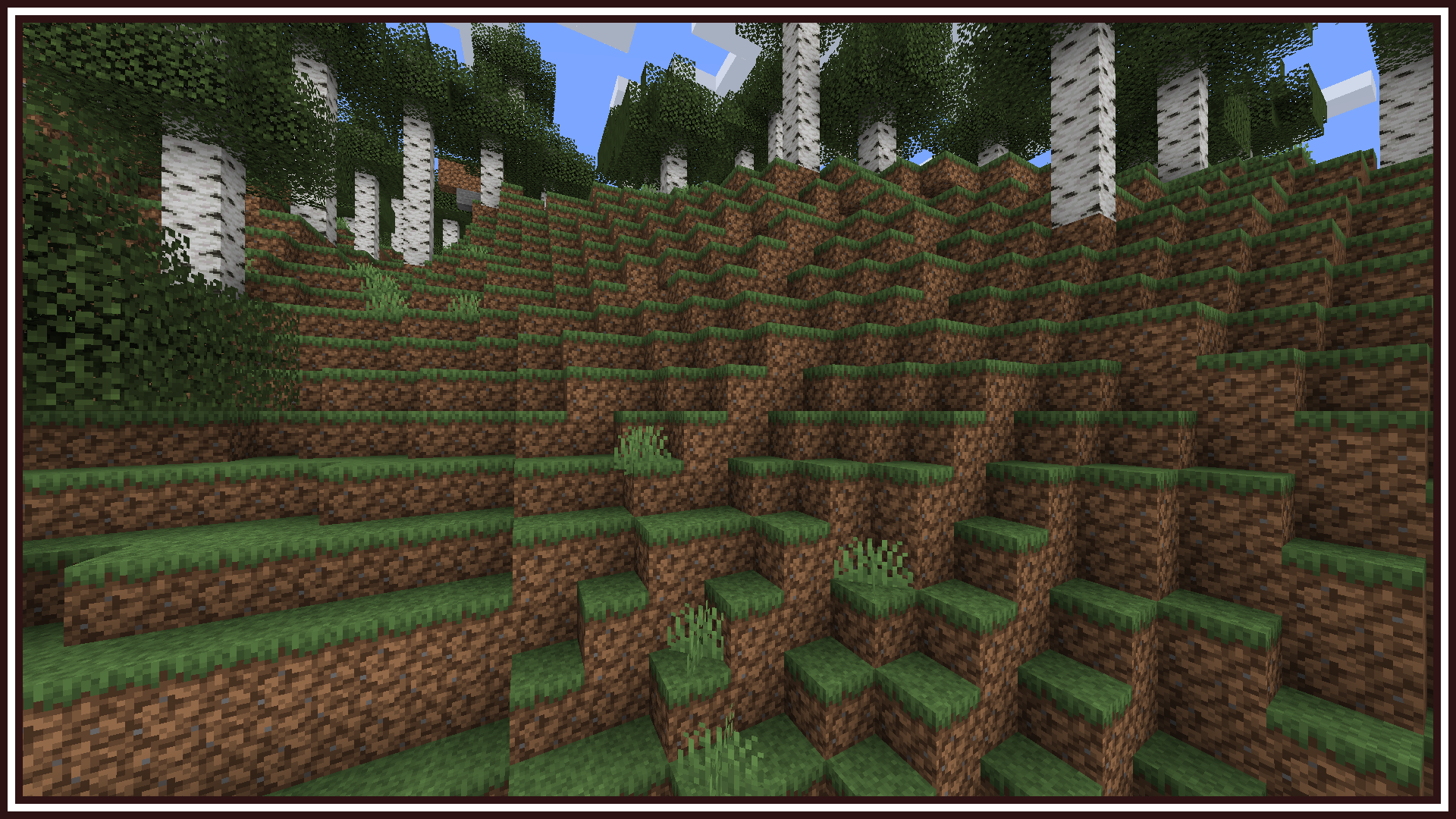 New Dirt