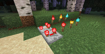 NewTorches