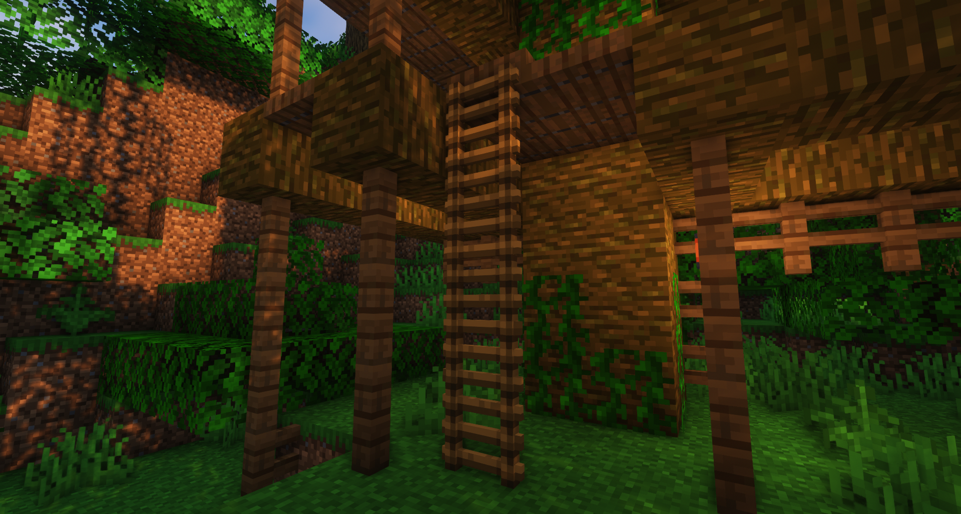 Nico's 3D Ladders