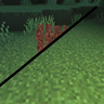 No Particles Java