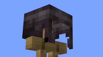 Nose Goes