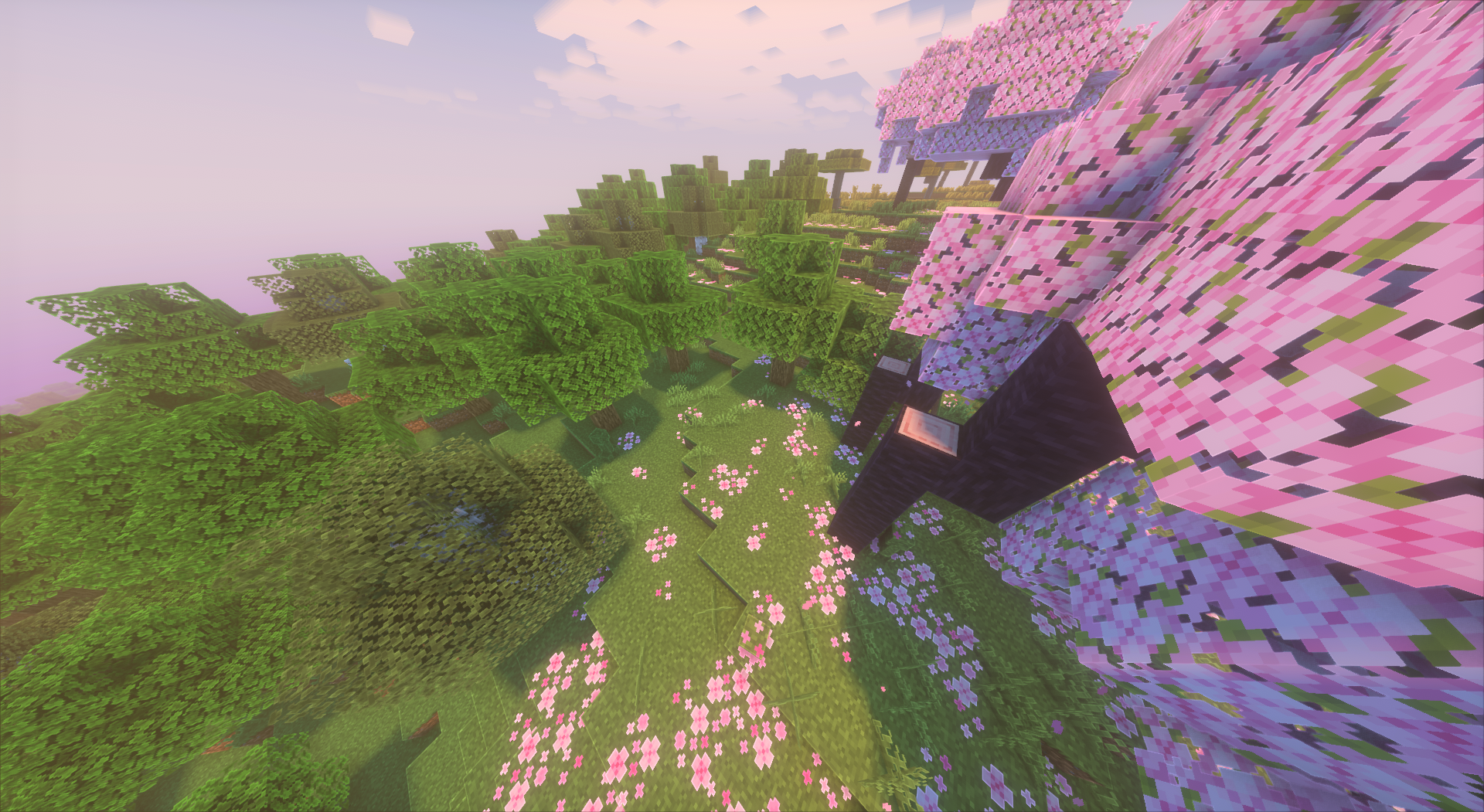 notandvm's creepers!
