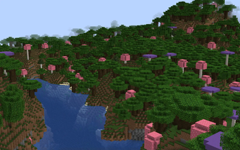 Os' Mystical Mushrooms