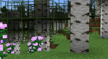 oSzoukaua's: Leave Leaves