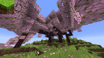 oSzoukaua's: Reduced Petals