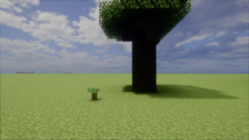 Overdetailed Saplings