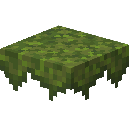 Overgrown Moss Carpet