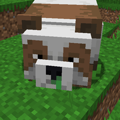 Panda and Axolotl Variants