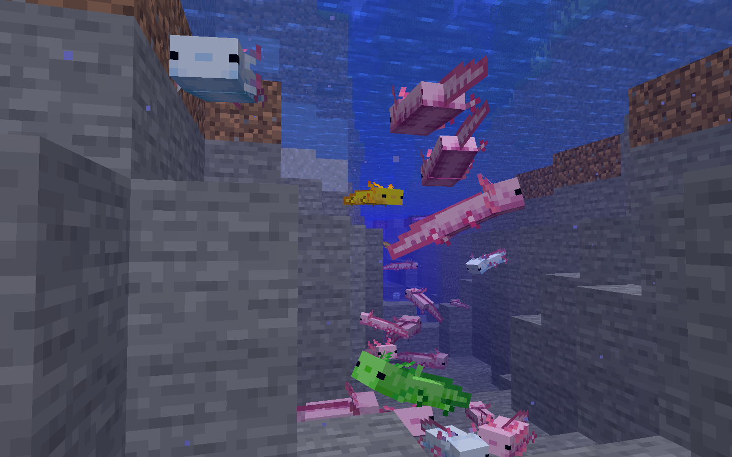 Panda and Axolotl Variants