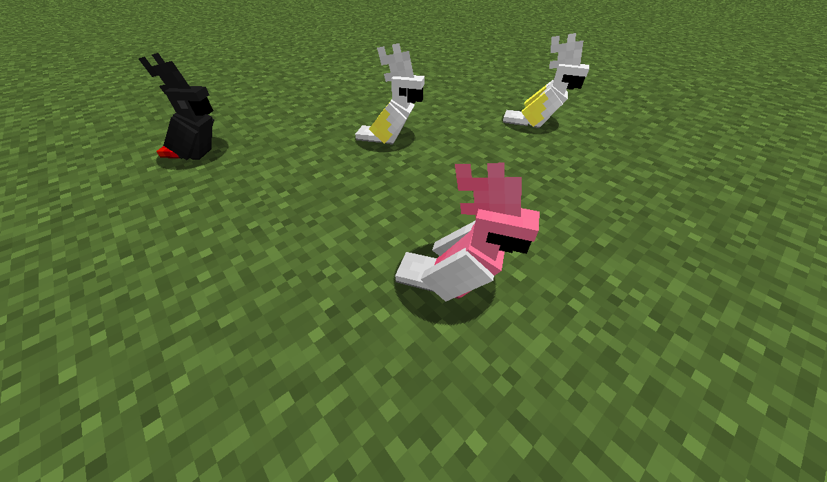 Parrot Variants