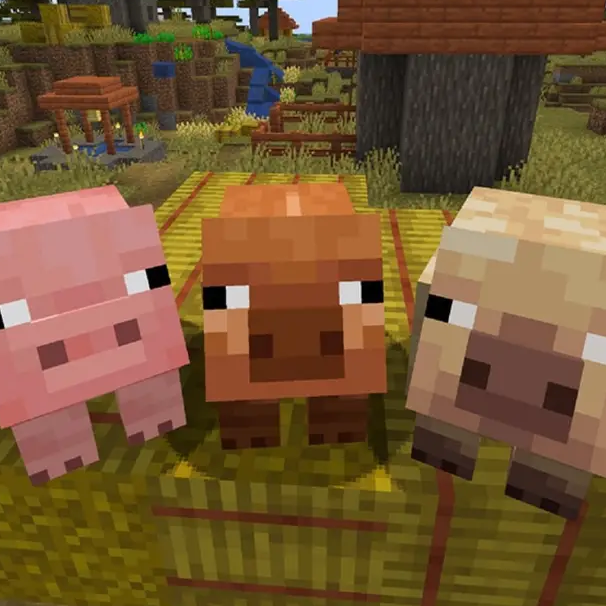 Pig Biome Variants