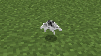 Pigeon Phantoms