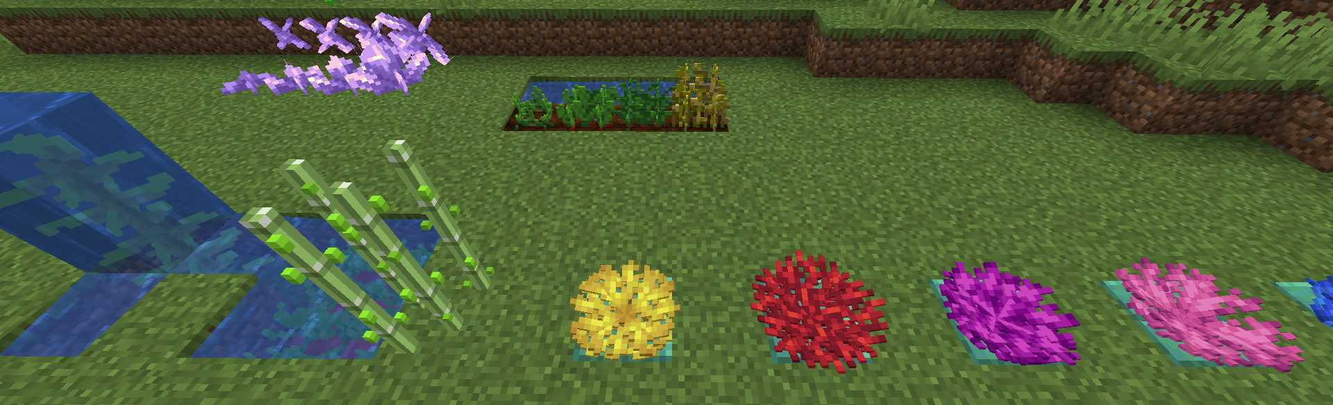 Plants 3D