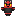Pokemon Litten Totem