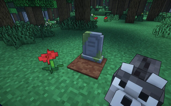 Polished Graves