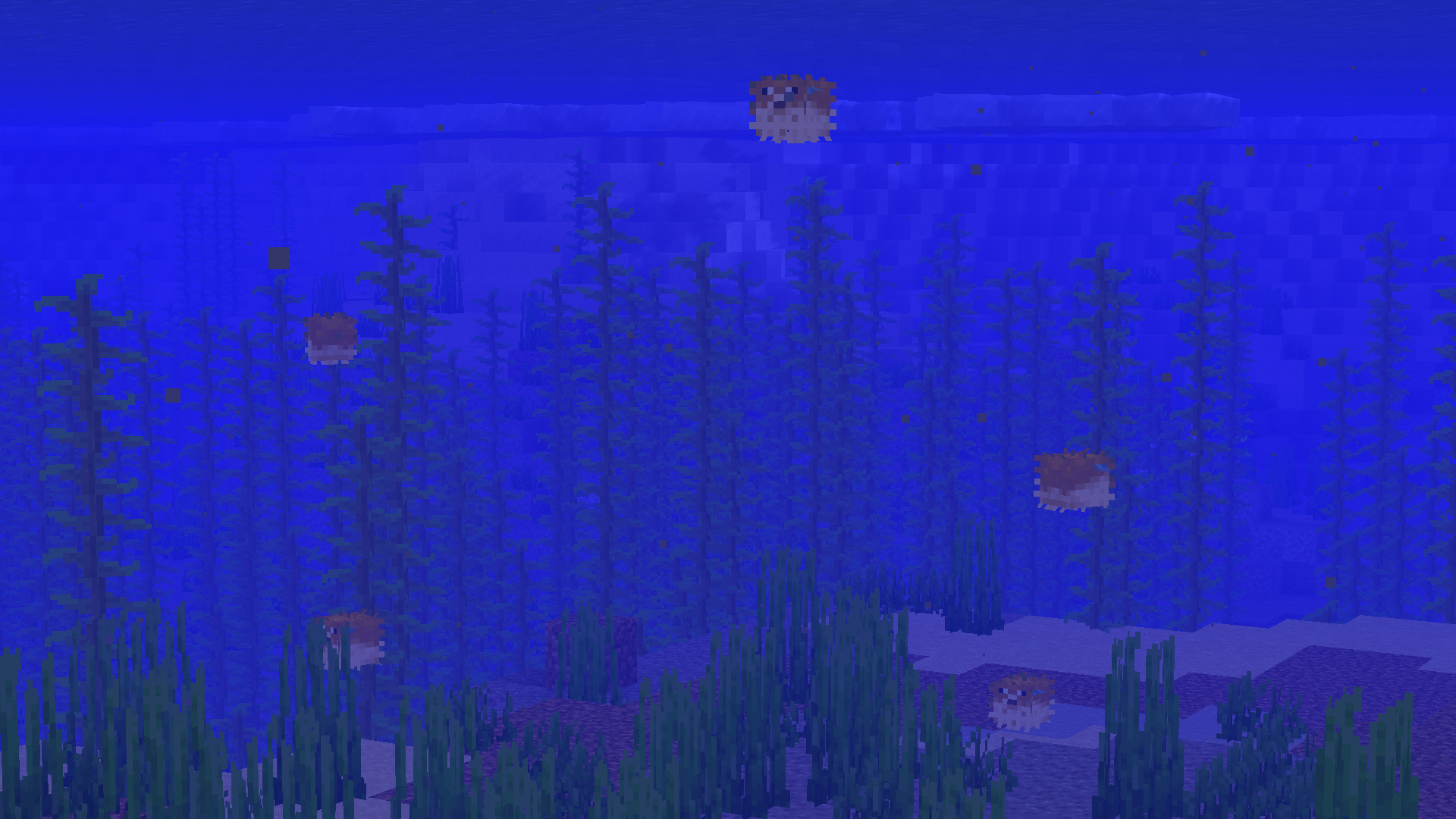 Puffier Pufferfishes