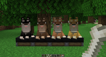Quark: Kuro Shiba & Friends
