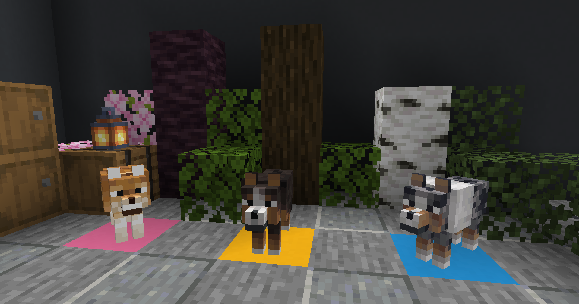 It's Raining Dogs!