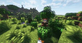 RCT Trainer Animation