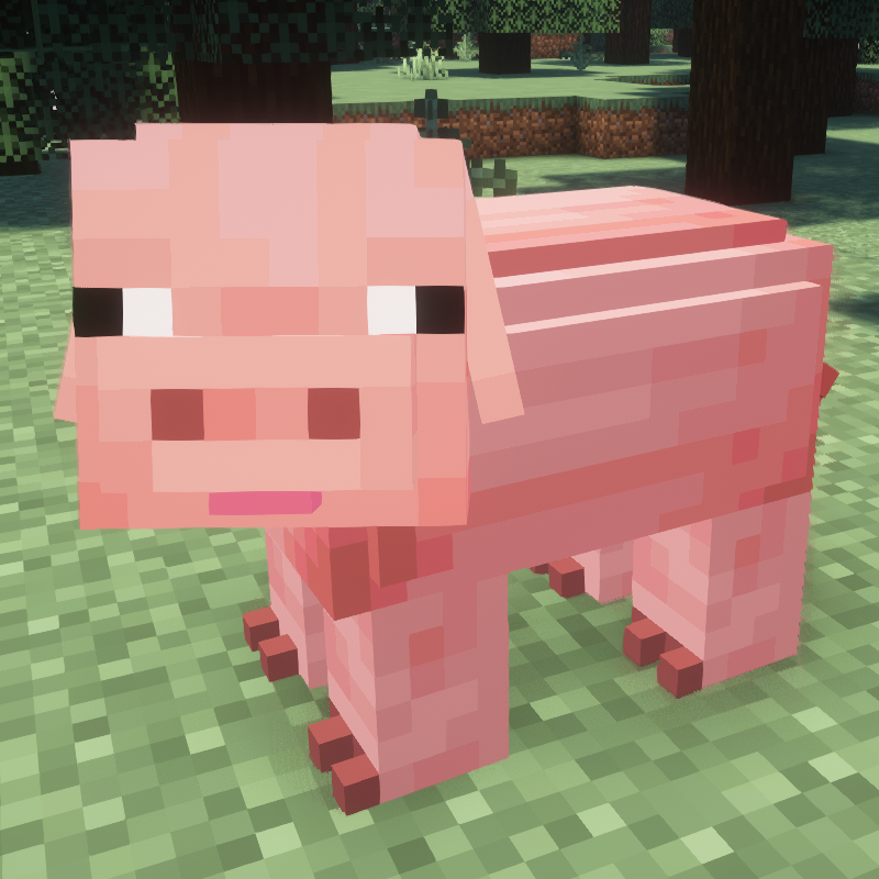 Realistic Pigs