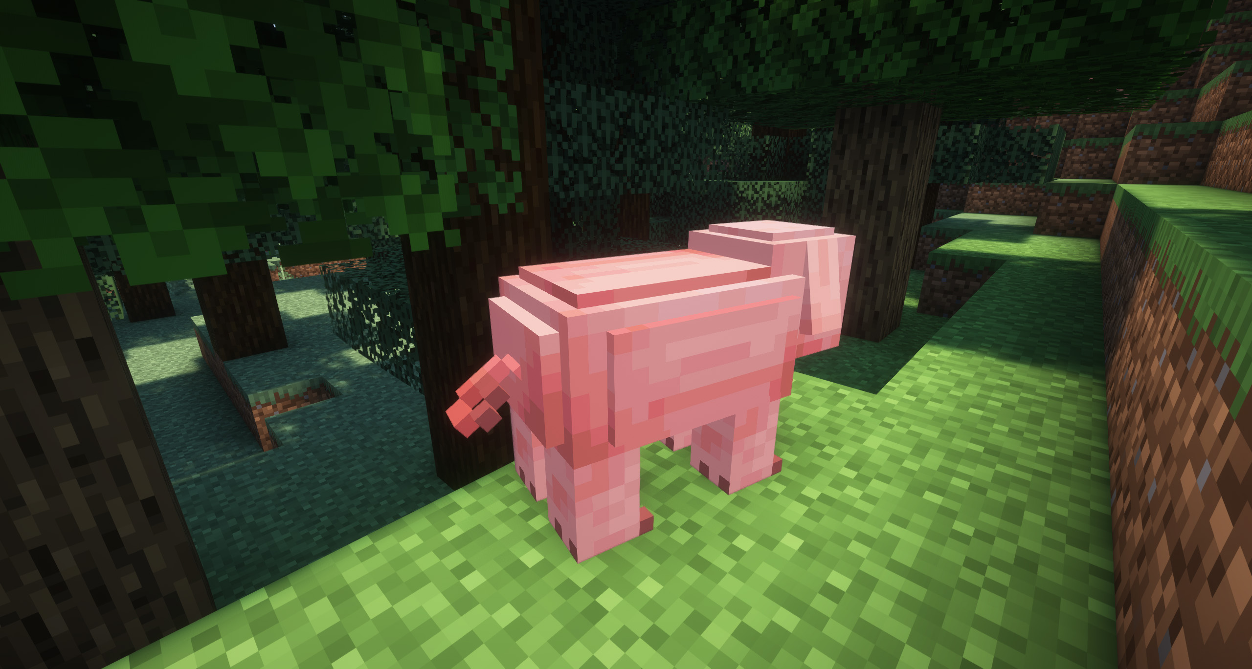 Realistic Pigs